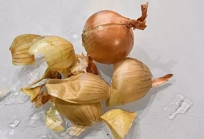 Моя свекровь всю зиму собирает луковую шелуху, чтобы потом использовать в огороде, – ее урожаям завидуют все соседи