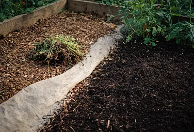 Сейчас самое время прополоть сад: как избавиться от сорняков без химии