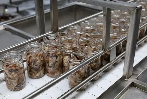 Вторую очередь консервного завода запустили в Усть-Лабинском районе