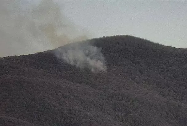 Второй лесной пожар потушен под Геленджиком