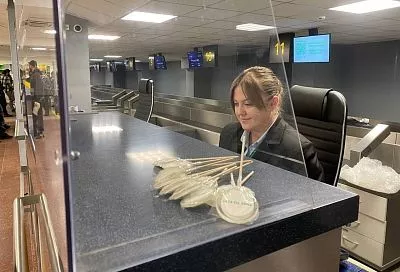 Аэропорт Краснодара обслужил полмиллиона пассажиров