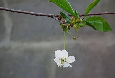 Народные приметы на сегодня – 9 марта, что можно и нельзя делать в день Обретенья по народному календарю