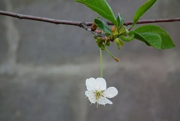 Народные приметы на сегодня – 9 марта, что можно и нельзя делать в день Обретенья по народному календарю