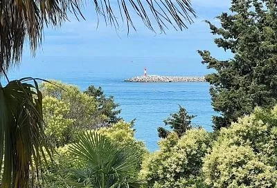 До +28 градусов прогрелось море в Сочи 29 июля