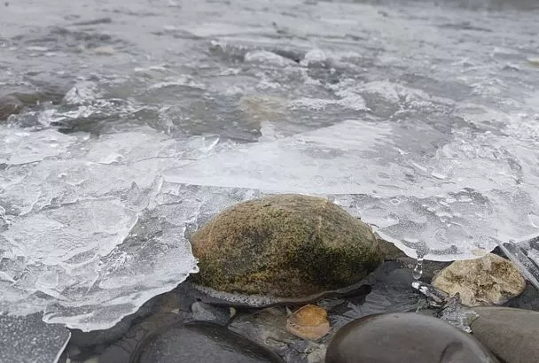 Температура Азовского моря сравнялась на всем побережье Краснодарского края