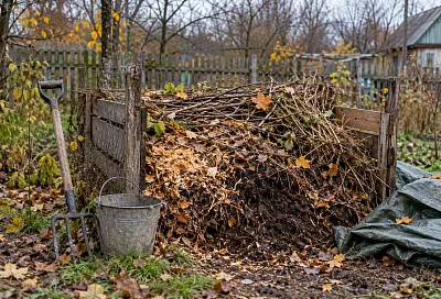Не спешите покупать ускоритель компоста: полезную «закваску» можно найти прямо в лесу