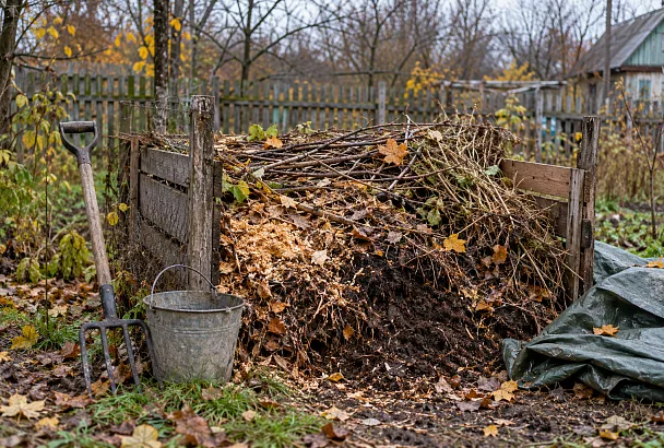 Не спешите покупать ускоритель компоста: полезную «закваску» можно найти прямо в лесу