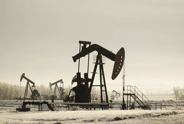 Новый отчет ОПЕК: Россия сохраняет стабильные позиции на рынке нефти