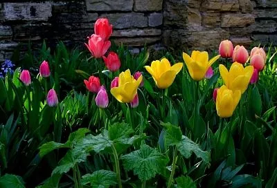 Народные приметы на сегодня – 13 апреля, что можно и нельзя делать в день Ипатия Чудотворца