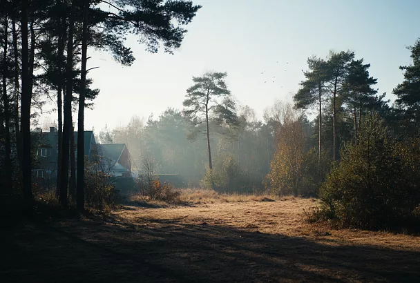 Участок у леса: все плюсы и минусы, о которых стоит знать заранее