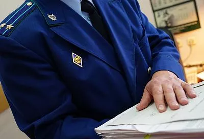 В Новороссийске прокуратура не дала мэрии купить новогоднюю ель за 7 млн рублей