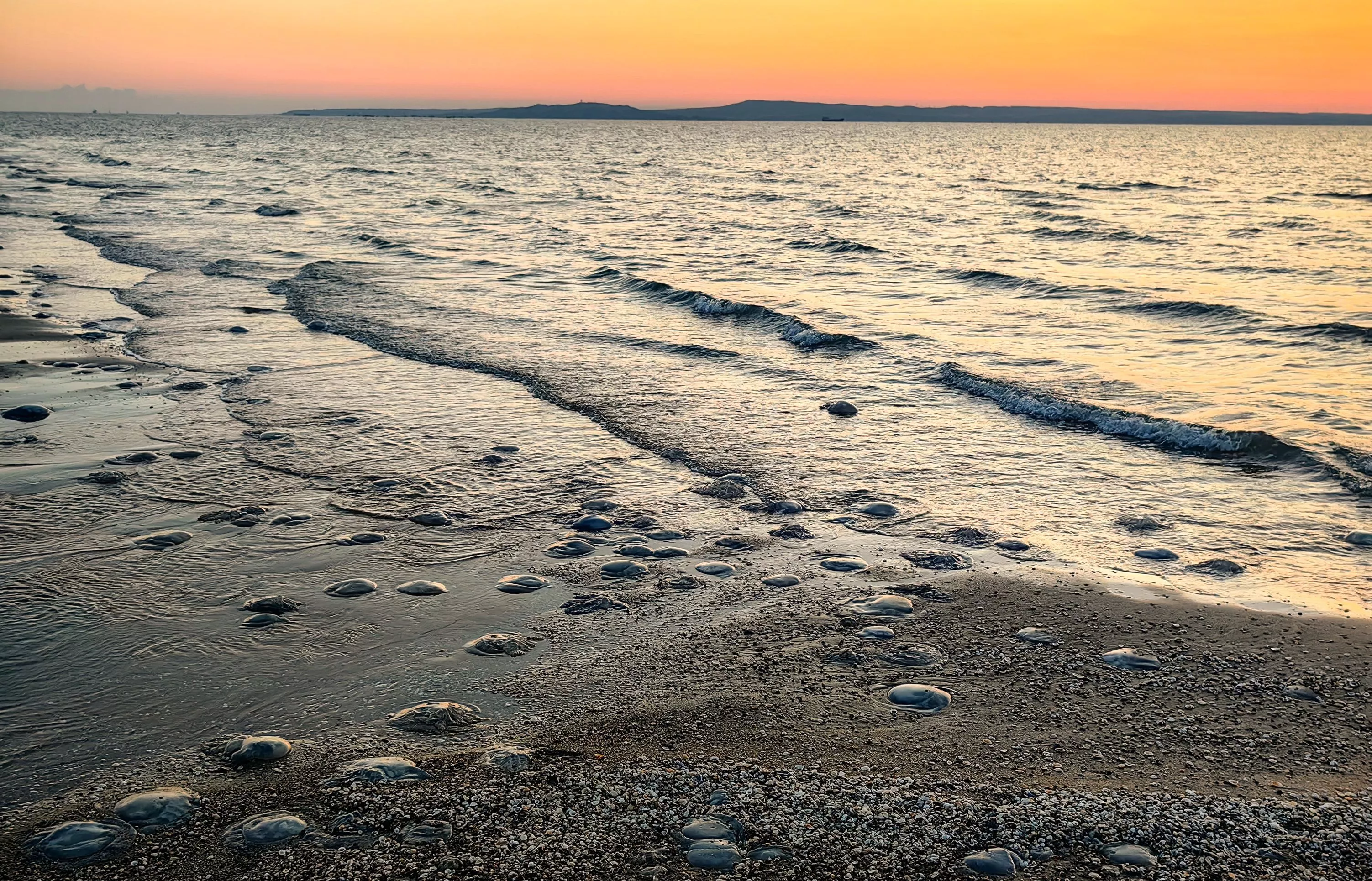 Азовское море выступает как источником, так и поглотителем углекислого газа, выяснили ученые 