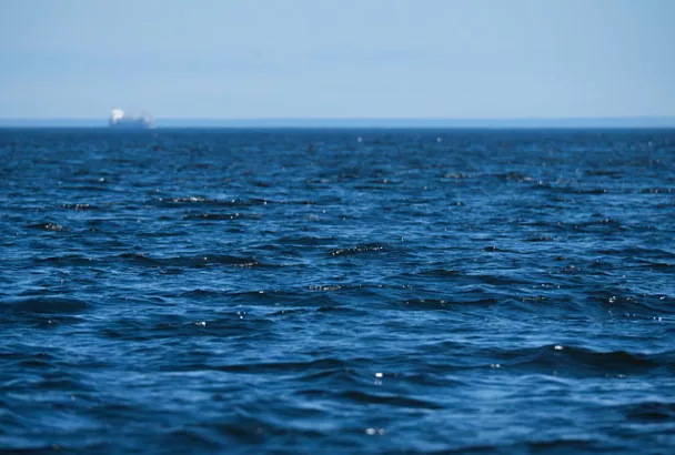 Российские учёные открыли новый вид глубоководного моллюска и провели революцию в классификации