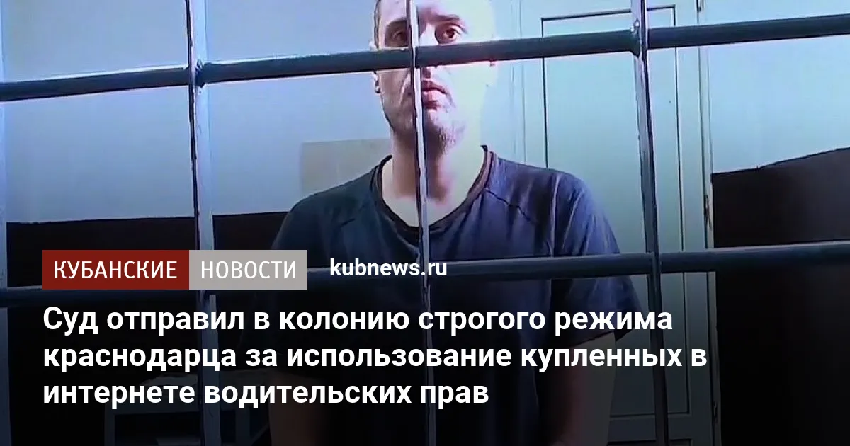 Суд отправил в колонию строгого режима краснодарца за использование купленных в интернете водительских прав