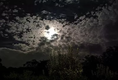 Астероид Апофис при сближении с Землей пронесется над Россией: в каких регионах увидят космический булыжник