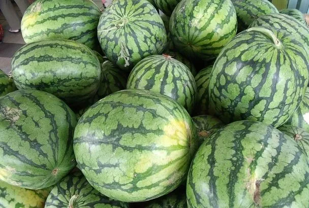 Их время еще не пришло: какие проблемы со здоровьем могут возникнуть после употребления в пищу арбузов, которые продавцы называют ранними
