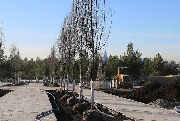 Более 100 тысяч растений высадят в новом парке Геленджика