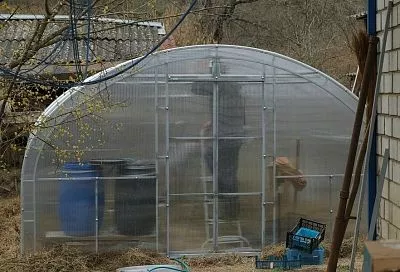 5 правильных шагов, которые надо сделать в теплице осенью