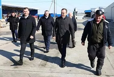 Губернатор Кубани Вениамин Кондратьев посетил животноводческий кооператив в Северском районе