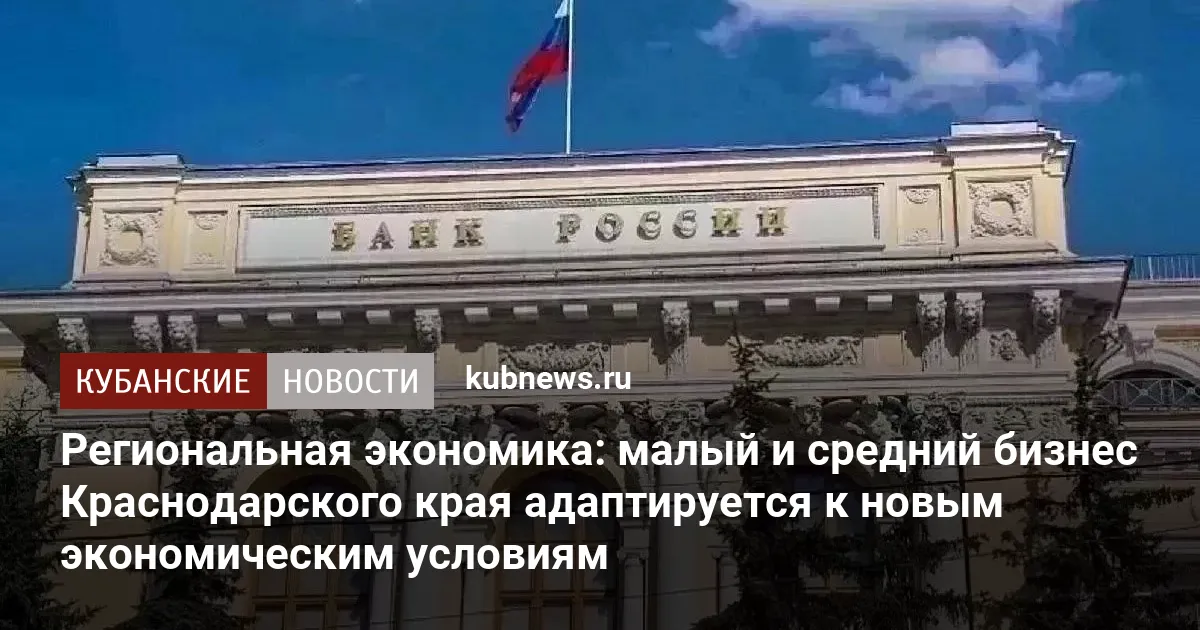 Региональная экономика: малый и средний бизнес Краснодарского края адаптируется к новым экономическим условиям