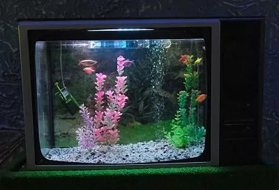 Почти 40% опрошенных краснодарцев полностью игнорируют телевизор 