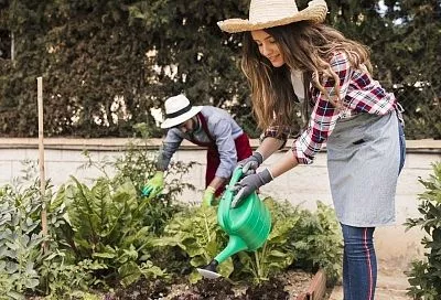 Лунный календарь садовода с 9 по 15 августа: какие работы на участке в эти дни принесут пользу, а какие – вред