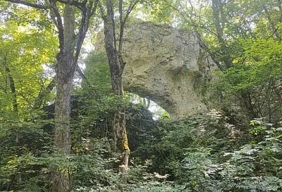 В Краснодарском крае туристы могут отправиться к скале Слон