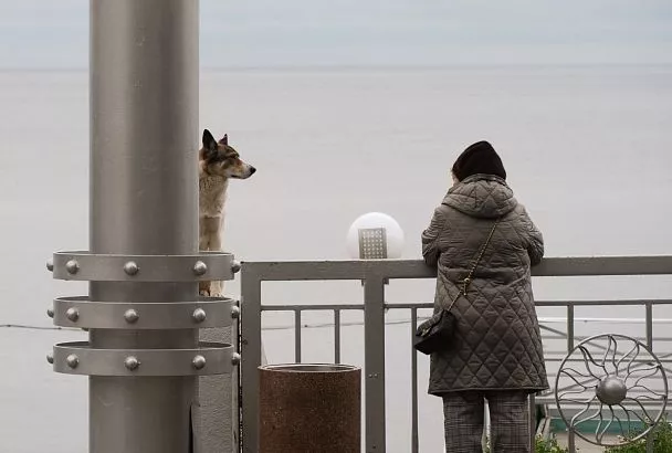 Сочи и Краснодар вошли в топ-5 популярных направлений для отдыха с питомцами в феврале