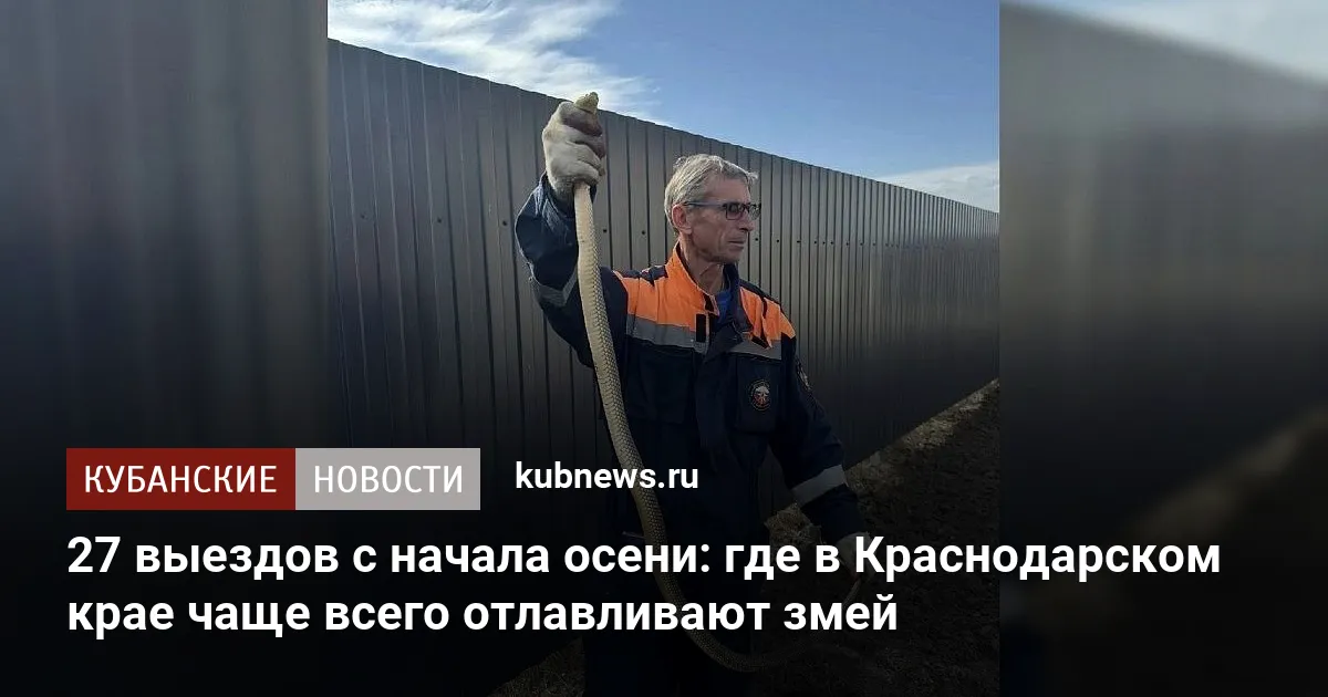 27 выездов с начала осени: где в Краснодарском крае чаще всего отлавливают змей