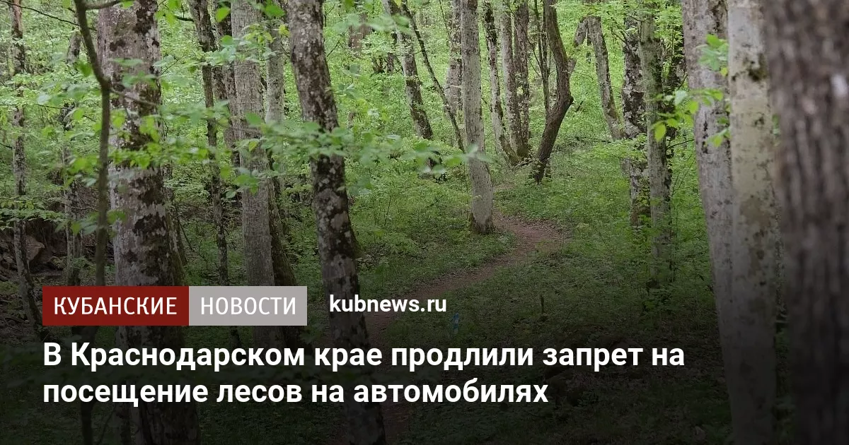 В Краснодарском крае продлили запрет на посещение лесов на автомобилях