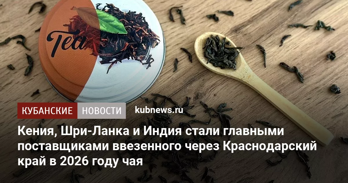 Кения, Шри-Ланка и Индия стали главными поставщиками ввезенного через Краснодарский край в 2026 году чая