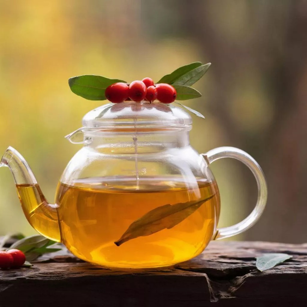 Облепиховый чай как в ресторане: готовим дома за 10 минут и экономим кучу денег