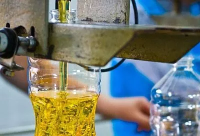 Предприятия на Кубани оптимизировали процессы благодаря нацпроекту