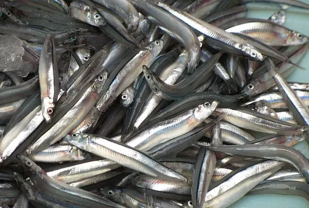 Самый быстрый рецепт засолки хамсы или другой мелкой рыбки. Рецепт, который использовала еще моя бабушка