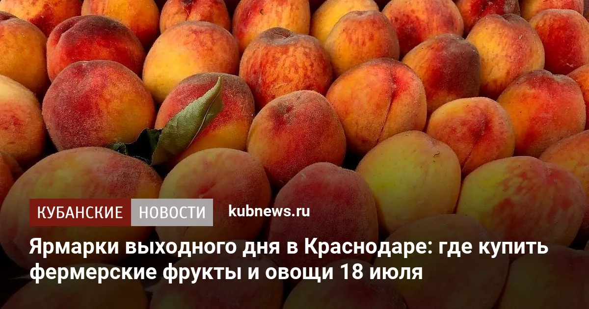 Ярмарки выходного дня в Краснодаре: где купить фермерские фрукты и овощи 18 июля