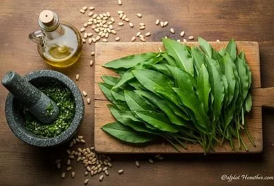  Быстрый соус из черемши за пять минут - бюджетная альтернатива песто