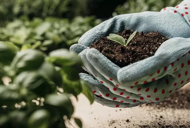 Ученые создали удобрения, повышающие урожайность овса на 16%