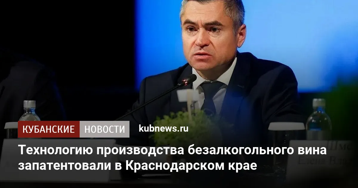 Технологию производства безалкогольного вина запатентовали в Краснодарском крае