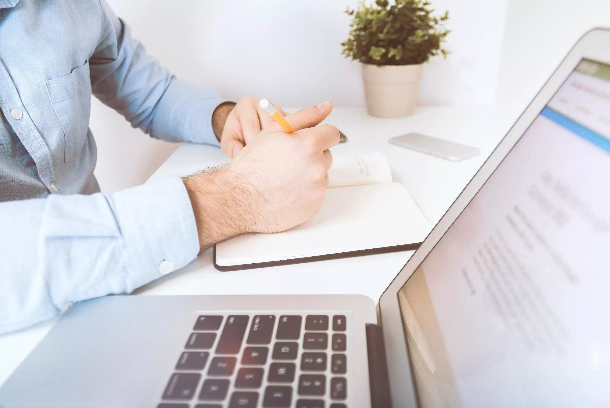 Жители Краснодарского края могут получить бесплатную юридическую помощь на портале Госуслуг