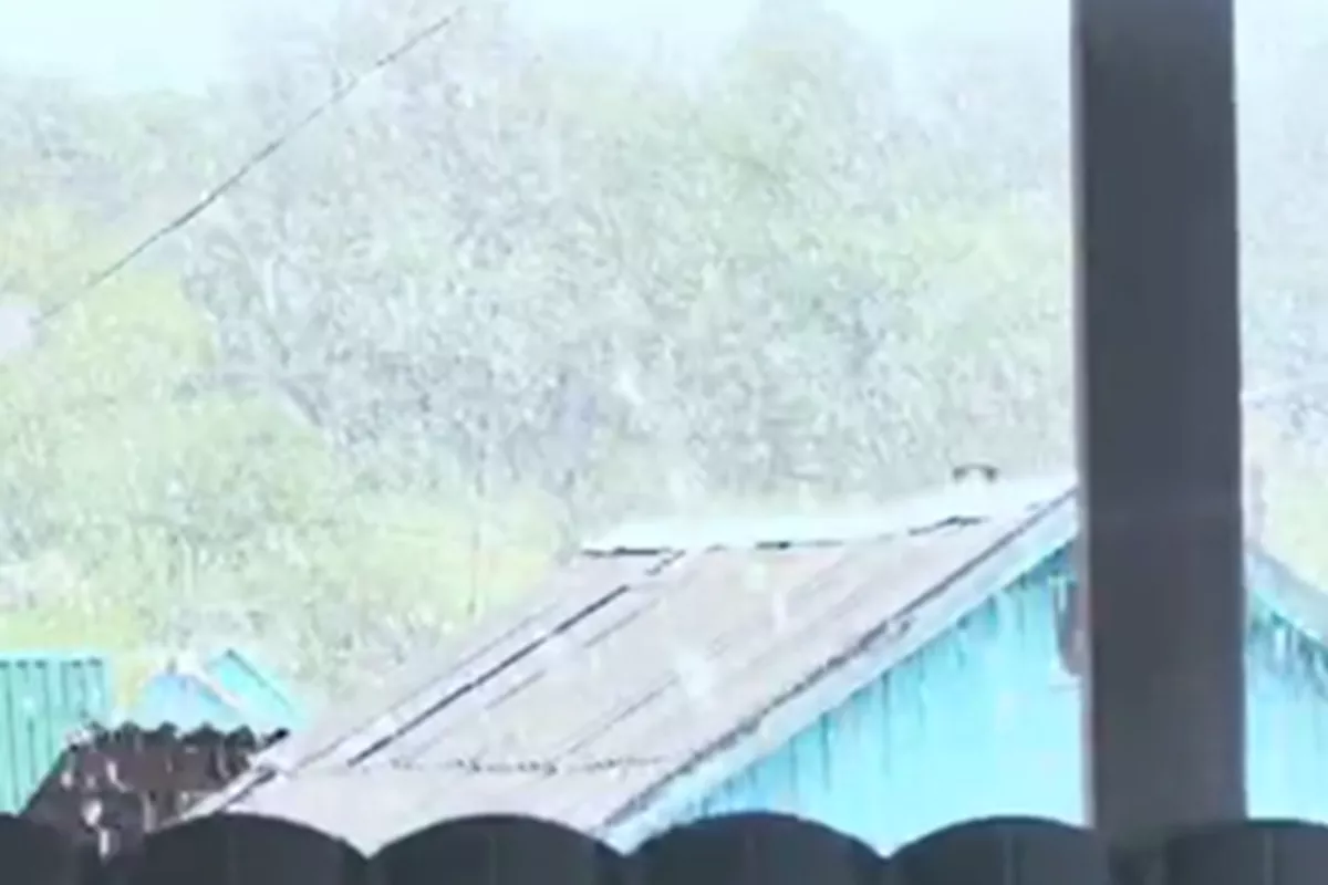 8 апреля станица Саратовская