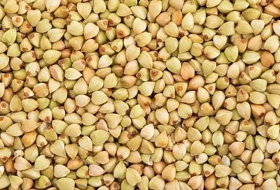 Зеленая гречка: пять фактов о крупе, которая творит настоящие чудеса со здоровьем