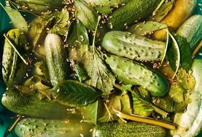 Хрустеть будете на весь дом: солим огурцы в банках, чтобы они были еще и с остринкой