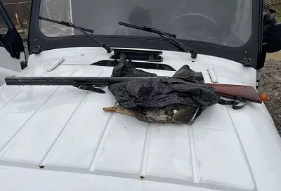 Браконьеров с оружием и добычей задержали в Сочинском нацпарке