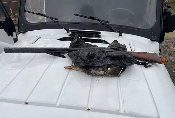 Браконьеров с оружием и добычей задержали в Сочинском нацпарке