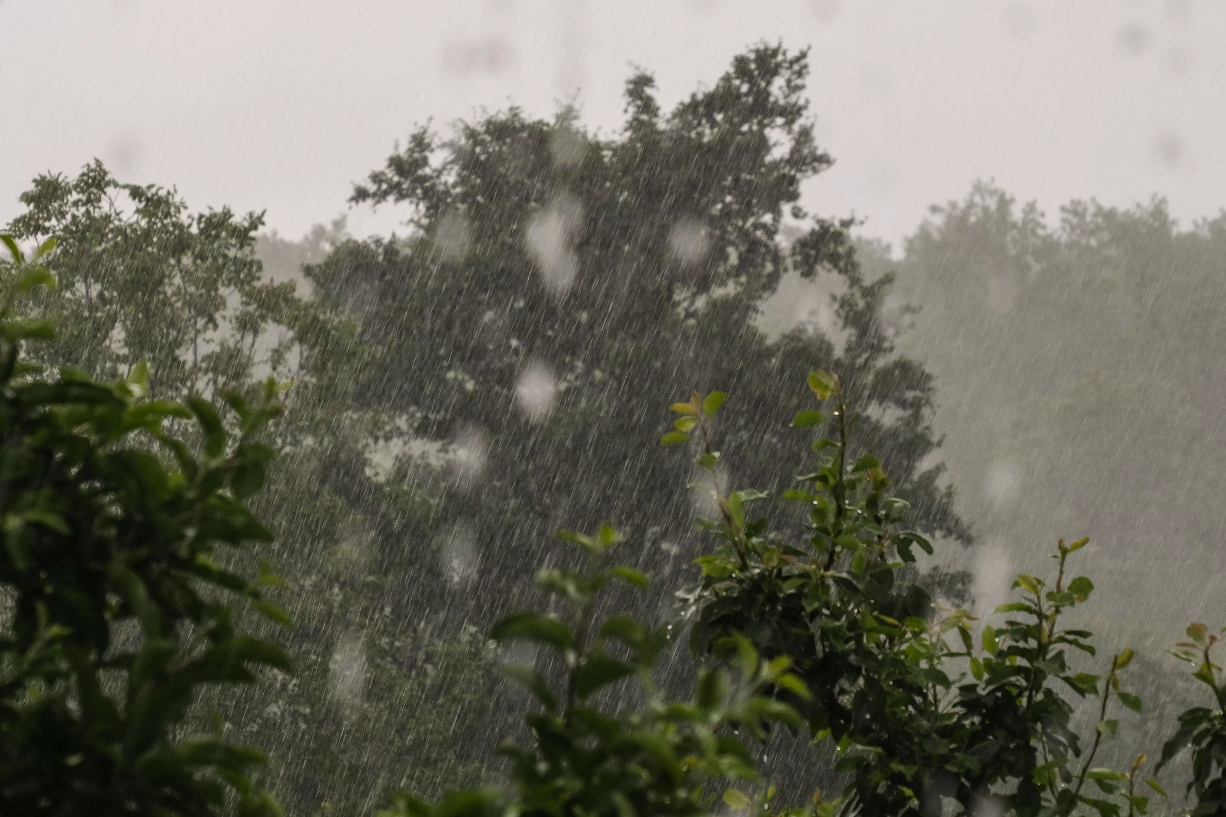 Очередная порция дождей выльется на Краснодарский край: когда регион вновь накроет непогода