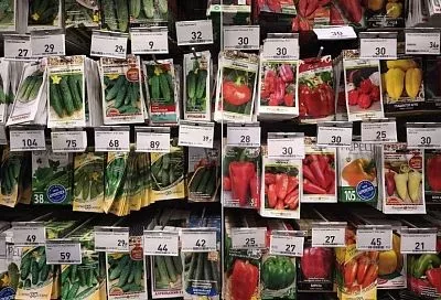 В магазине или на рынке: где лучше покупать семена начинающему огороднику