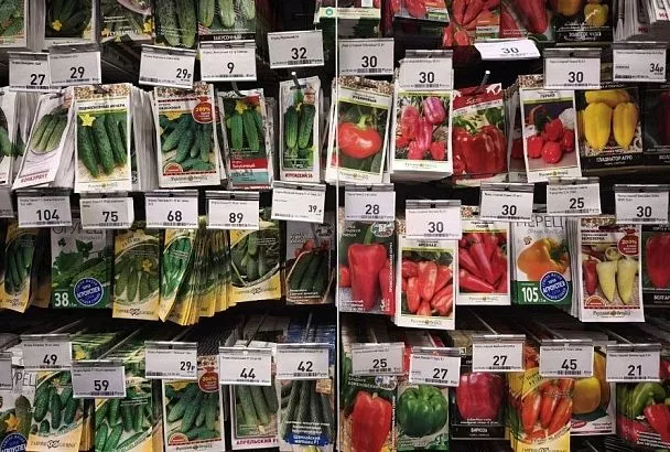 В магазине или на рынке: где лучше покупать семена начинающему огороднику