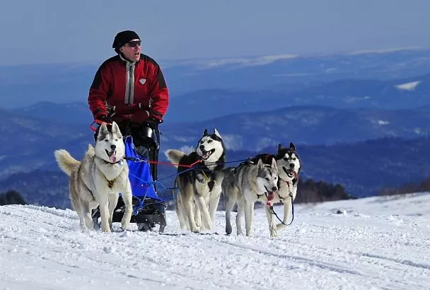 От хаски до Прометея: зимние забавы в Сочи
