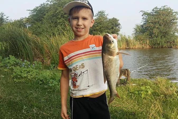 Елена Сидорова 