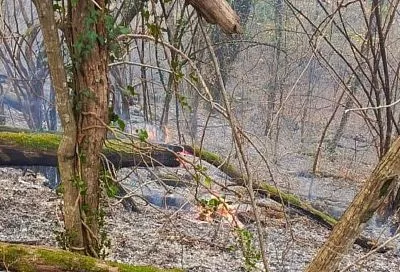 Лесной пожар под Геленджиком потушен